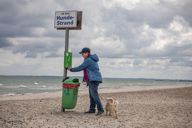 Hundetüten Am Strand