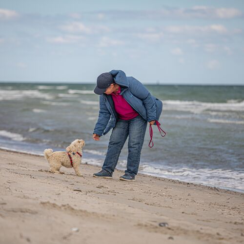 Mit Hund am Strand spielen