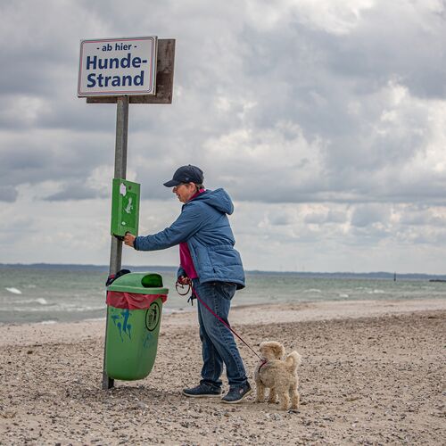 Hundetüten Am Strand